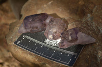 Natural Smokey Amethyst Crystals  x 12 From Chiredzi, Zimbabwe - Toprock Gemstones and Minerals 