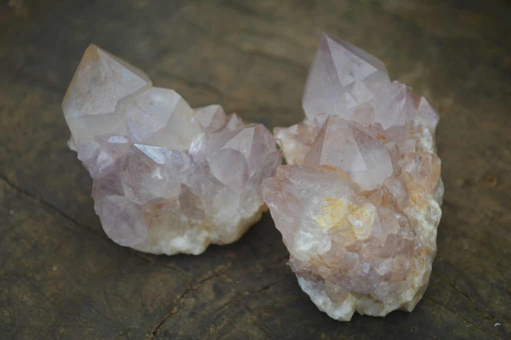 Natural Mixed Spirit Amethyst Quartz Clusters  x 12 From Boekenhouthoek, South Africa - Toprock Gemstones and Minerals 