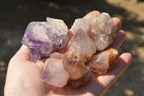 Natural Mixed Selection Of Spirit Cactus Quartz Clusters  x 14 From Boekenhouthoek, South Africa - TopRock