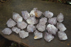 Natural Spirit Cactus Flower Quartz Crystals  x 20 From Boekenhouthoek, South Africa - Toprock Gemstones and Minerals 