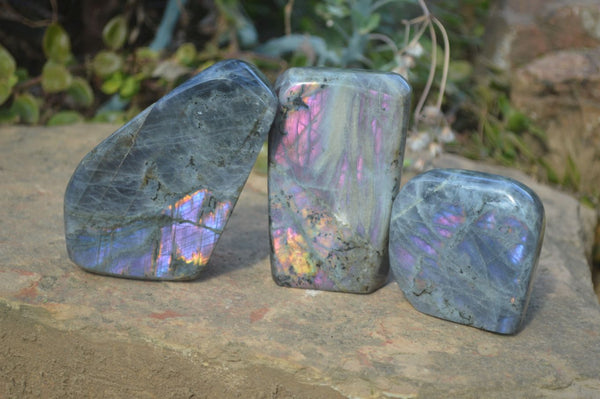 Polished Rare Purple Flash Labradorite Standing Free Forms x 3 From Tulear, Madagascar - Toprock Gemstones and Minerals 