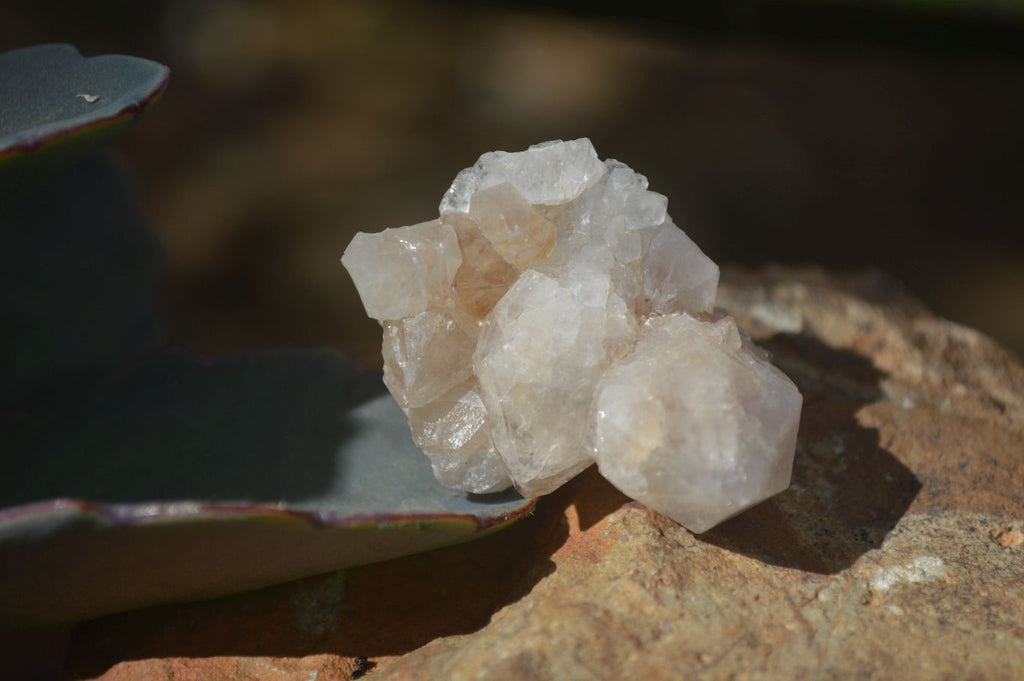 Natural Small Mixed Selection Of White Spirit Quartz Crystals  x 70 From Boekenhouthoek, South Africa - Toprock Gemstones and Minerals 