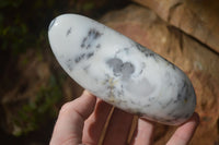 Polished Dendritic Opal Standing Free Forms  x 3 From Moralambo, Madagascar - Toprock Gemstones and Minerals 