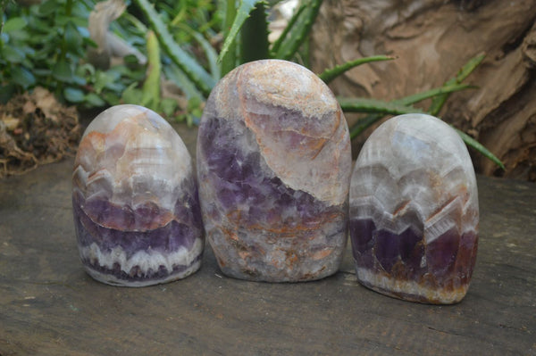 Polished Chevron Amethyst Standing Free Forms  x 3 From Madagascar - Toprock Gemstones and Minerals 