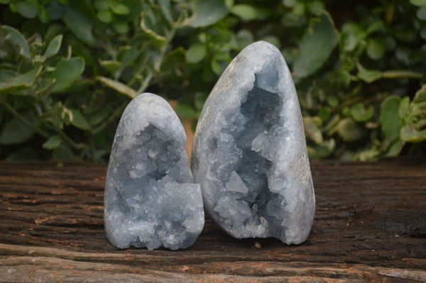 Polished Blue Celestite Standing Free Forms  x 2 From Madagascar