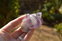 Natural Mixed Selection Of Spirit Cactus Quartz Clusters  x 14 From Boekenhouthoek, South Africa - TopRock