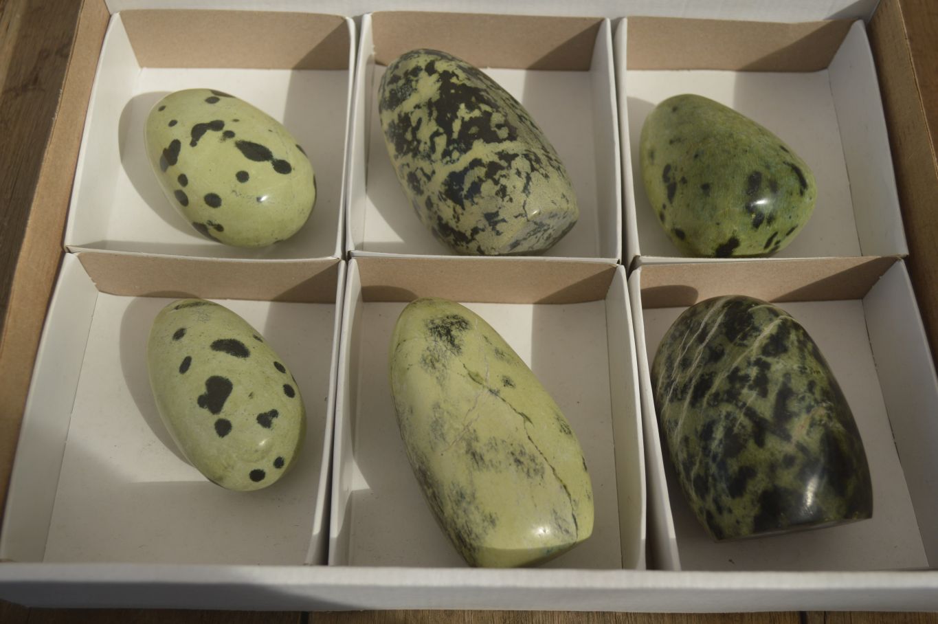 Polished Leopard Stone Free Forms  x 6 From Zimbabwe - Toprock Gemstones and Minerals 