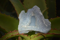 Natural Etched Blue Chalcedony Specimens  x 6 From Nsanje, Malawi - Toprock Gemstones and Minerals 