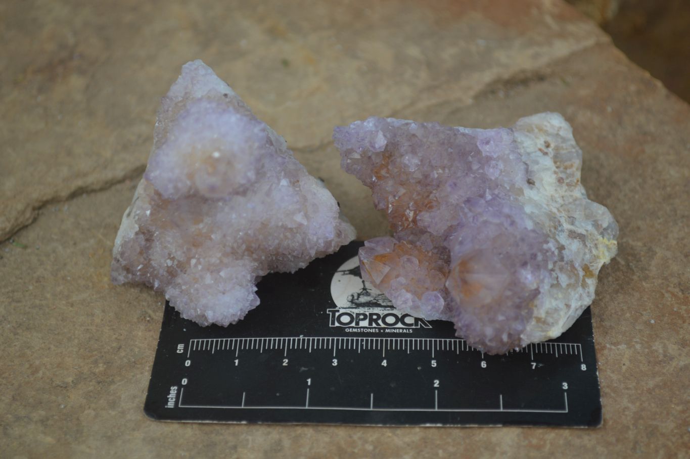 Natural Mixed Spirit Amethyst Quartz Clusters  x 12 From Boekenhouthoek, South Africa - Toprock Gemstones and Minerals 