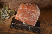 Natural New Sunset Orange Calcite Specimens  x 12 From Spitzkop, Namibia - Toprock Gemstones and Minerals 