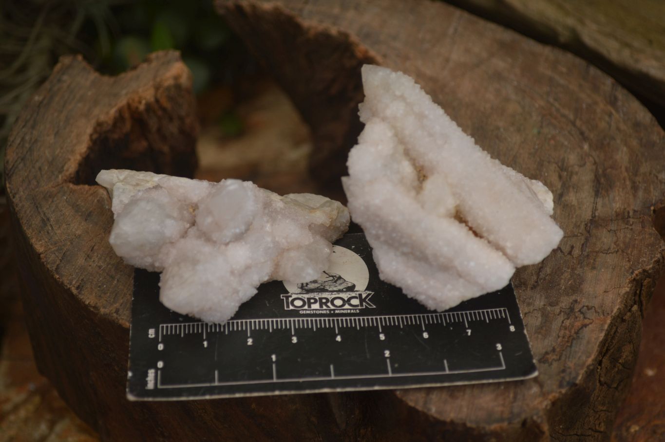Natural White Spirit Quartz Clusters  x 12 From Boekenhouthoek, South Africa - Toprock Gemstones and Minerals 