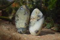Polished Dendritic Opal Standing Free Forms  x 3 From Moralambo, Madagascar - Toprock Gemstones and Minerals 