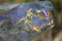 Polished Rare Purple Flash Labradorite Standing Free Forms x 3 From Tulear, Madagascar - Toprock Gemstones and Minerals 