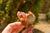 Natural Single Red Hematoid Phantom Quartz Crystals  x 24 From Karoi, Zimbabwe - TopRock
