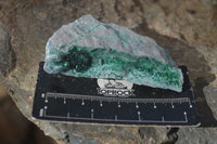 Natural Drusy Coated Chrysocolla & Malachite Dolomite Specimens x 9 From Likasi, Congo - Toprock Gemstones and Minerals 