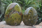 Polished Green Opal Standing Free Forms  x 2 From Madagascar - Toprock Gemstones and Minerals 