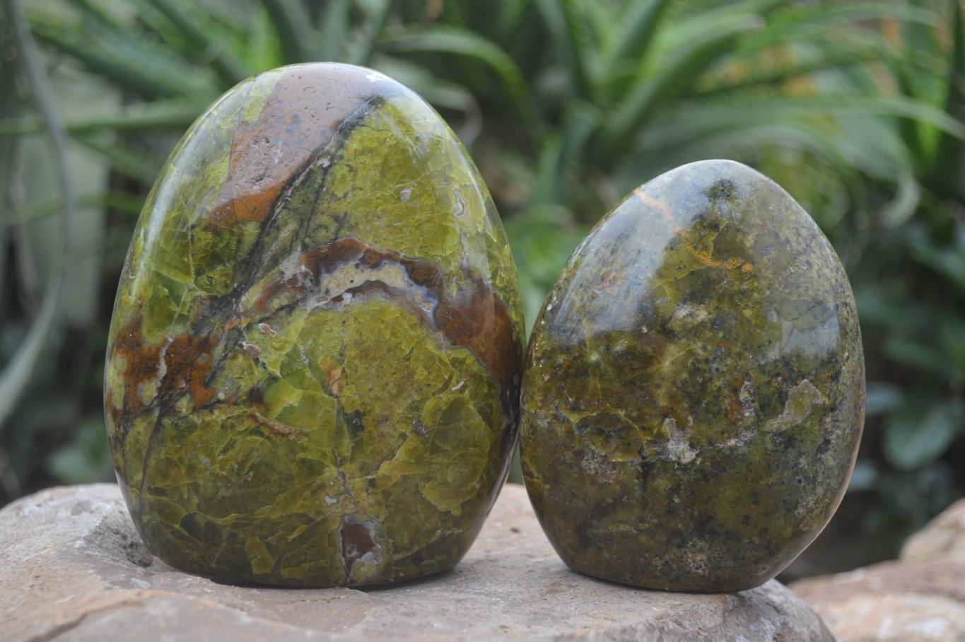 Polished Green Opal Standing Free Forms  x 2 From Madagascar - Toprock Gemstones and Minerals 