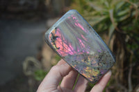 Polished Rare Purple Flash Labradorite Standing Free Forms x 3 From Tulear, Madagascar - Toprock Gemstones and Minerals 