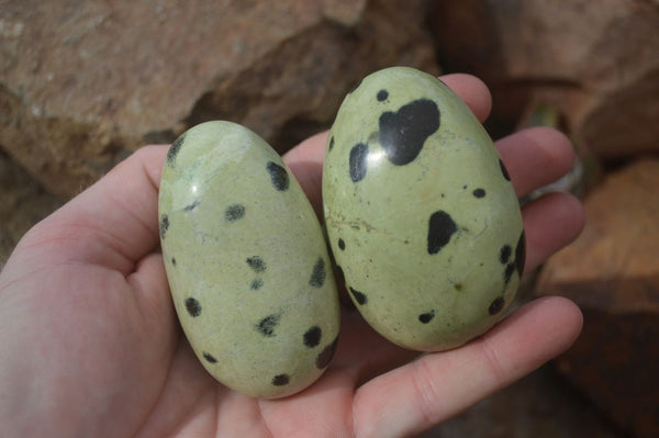 Polished Leopard Stone Free Forms  x 6 From Zimbabwe - Toprock Gemstones and Minerals 