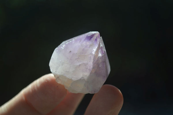 Natural Small Spirit Amethyst Crystals  x 63 From Boekenhouthoek, South Africa - Toprock Gemstones and Minerals 