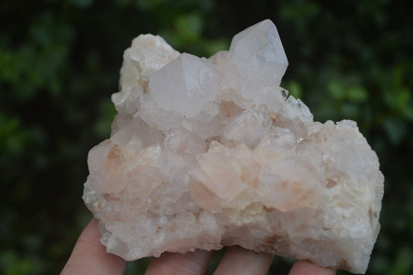 Natural White Spirit Cactus Quartz Clusters  x 2 From Boekenhouthoek, South Africa - Toprock Gemstones and Minerals 