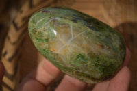 Polished  Green Chrysoprase Standing Free Forms  x 6 From Ambatondrazaka, Madagascar - Toprock Gemstones and Minerals 