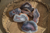Polished River Agate Nodules  x 6 From Sashe River, Zimbabwe - Toprock Gemstones and Minerals 