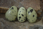 Polished Leopard Stone Free Forms  x 6 From Zimbabwe - Toprock Gemstones and Minerals 