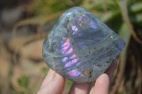 Polished Rare Purple Flash Labradorite Standing Free Forms x 3 From Tulear, Madagascar - Toprock Gemstones and Minerals 