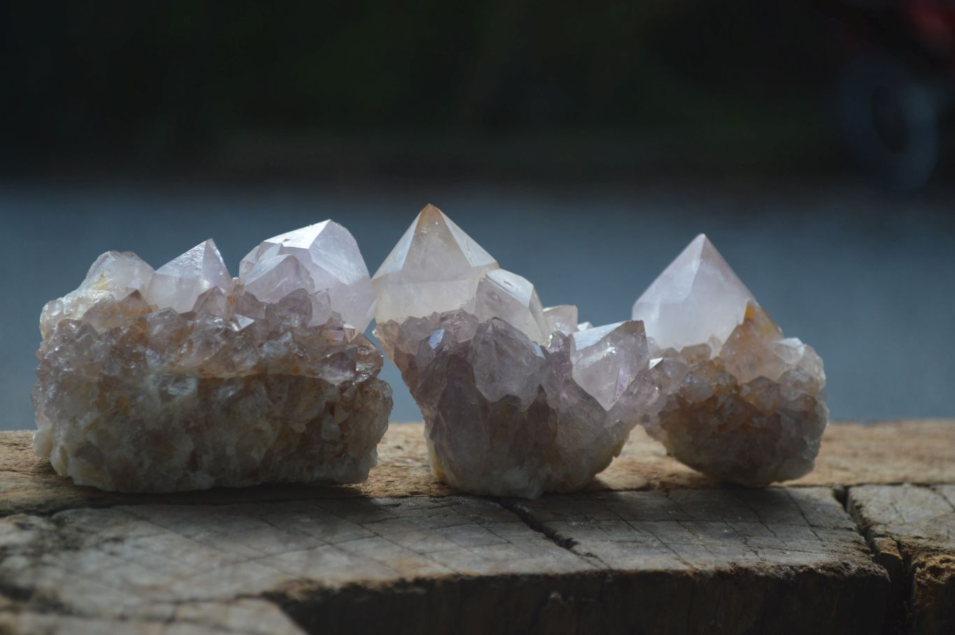 Natural Mixed Spirit Amethyst Quartz Clusters  x 12 From Boekenhouthoek, South Africa - Toprock Gemstones and Minerals 