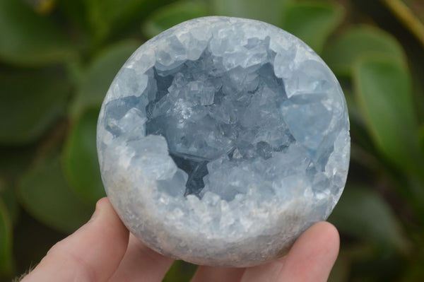 Polished Blue Celestite Crystal Centred Spheres  x 2 From Sakoany, Madagascar - Toprock Gemstones and Minerals 