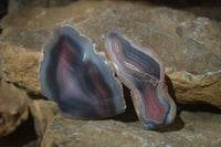 Polished River Agate Nodules  x 6 From Sashe River, Zimbabwe - Toprock Gemstones and Minerals 