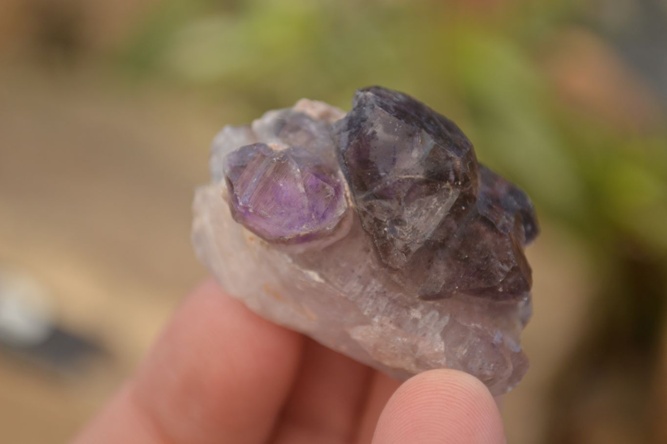 Natural Window Amethyst Crystal Specimens  x 12 From Chiredzi, Zimbabwe - Toprock Gemstones and Minerals 