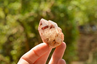 Natural Single Red Hematoid Phantom Quartz Crystals  x 24 From Karoi, Zimbabwe - TopRock