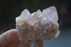 Natural Mixed Spirit Amethyst Quartz Clusters  x 12 From Boekenhouthoek, South Africa - Toprock Gemstones and Minerals 