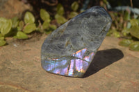 Polished Rare Purple Flash Labradorite Standing Free Forms x 3 From Tulear, Madagascar - Toprock Gemstones and Minerals 