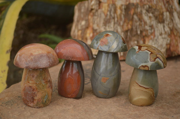 Polished Polychrome / Picasso Jasper Mushrooms  x 6 From Madagascar - TopRock