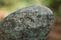Polished Emerald In Matrix Standing Free Forms x 6 From Sandawana, Zimbabwe - TopRock