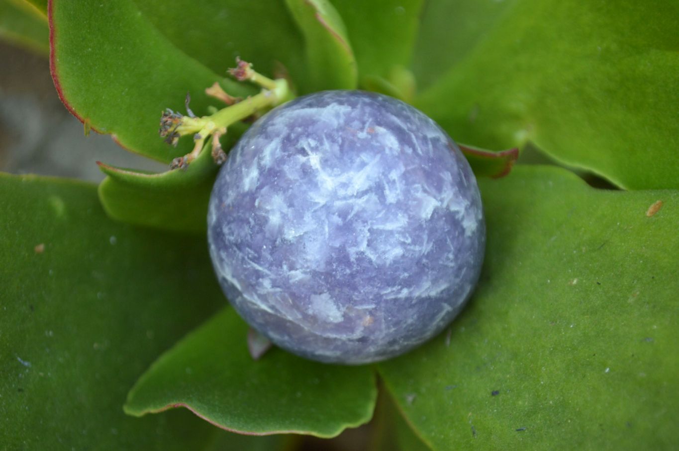 Polished Purple Lepidolite Spheres  x 6 From Madagascar - TopRock