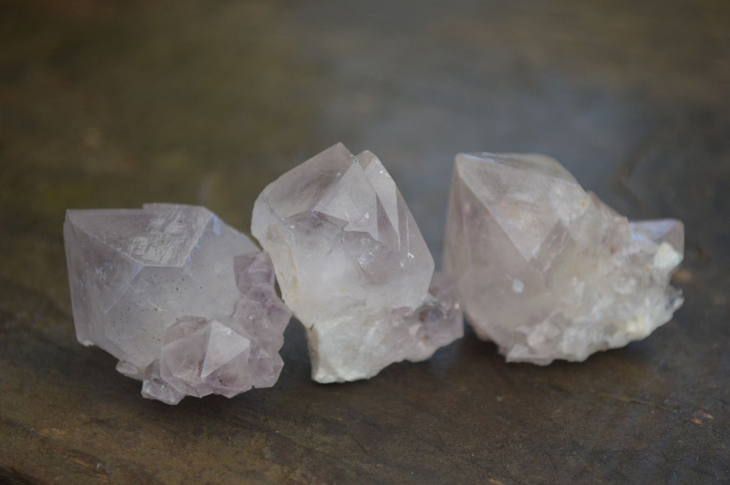 Natural Spirit Cactus Flower Quartz Crystals  x 20 From Boekenhouthoek, South Africa - Toprock Gemstones and Minerals 