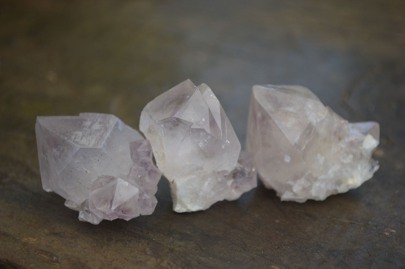 Natural Spirit Cactus Flower Quartz Crystals  x 20 From Boekenhouthoek, South Africa - Toprock Gemstones and Minerals 