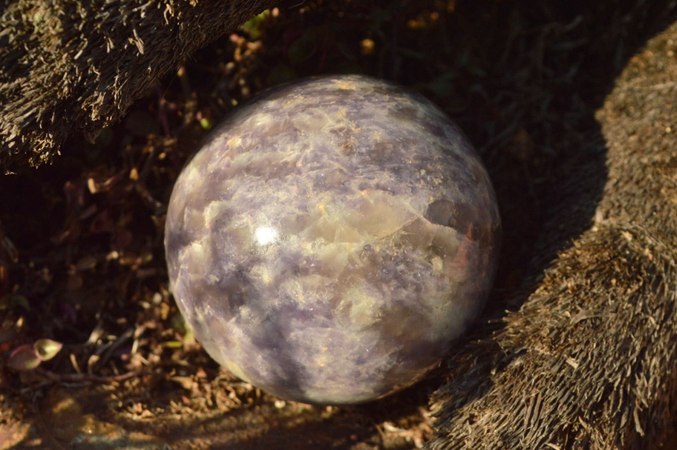 Polished Purple Lepidolite Spheres  x 6 From Madagascar - TopRock