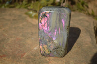 Polished Rare Purple Flash Labradorite Standing Free Forms x 3 From Tulear, Madagascar - Toprock Gemstones and Minerals 