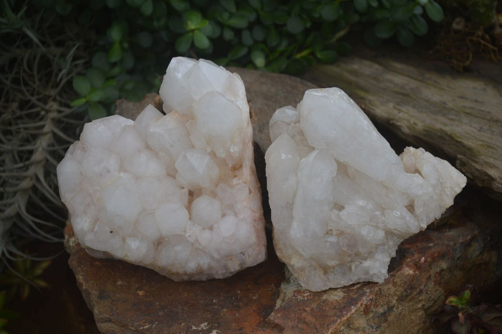 Natural Large White Quartz Clusters  x 2 From Madagascar - Toprock Gemstones and Minerals 