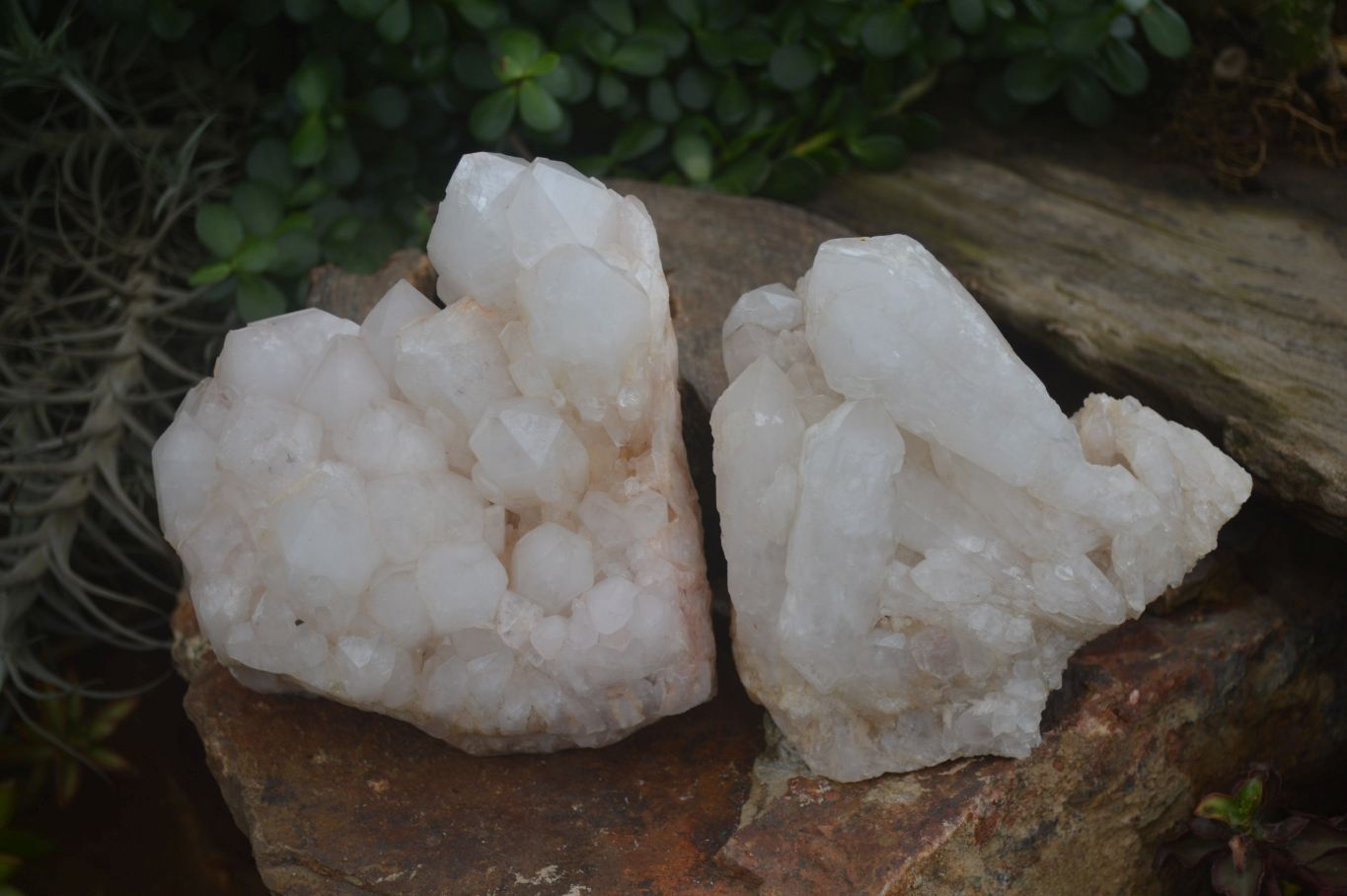 Natural Large White Quartz Clusters  x 2 From Madagascar - Toprock Gemstones and Minerals 