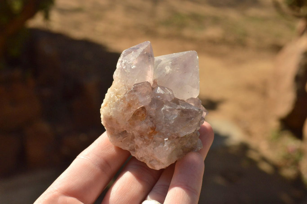 Natural Mixed Selection Of Spirit Cactus Quartz Clusters  x 14 From Boekenhouthoek, South Africa - TopRock