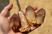 Natural Single Red Hematoid Phantom Quartz Crystals  x 24 From Karoi, Zimbabwe - TopRock