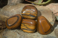 Polished Golden Tigers Eye Free Forms x 4 From Prieska, Northern Cape