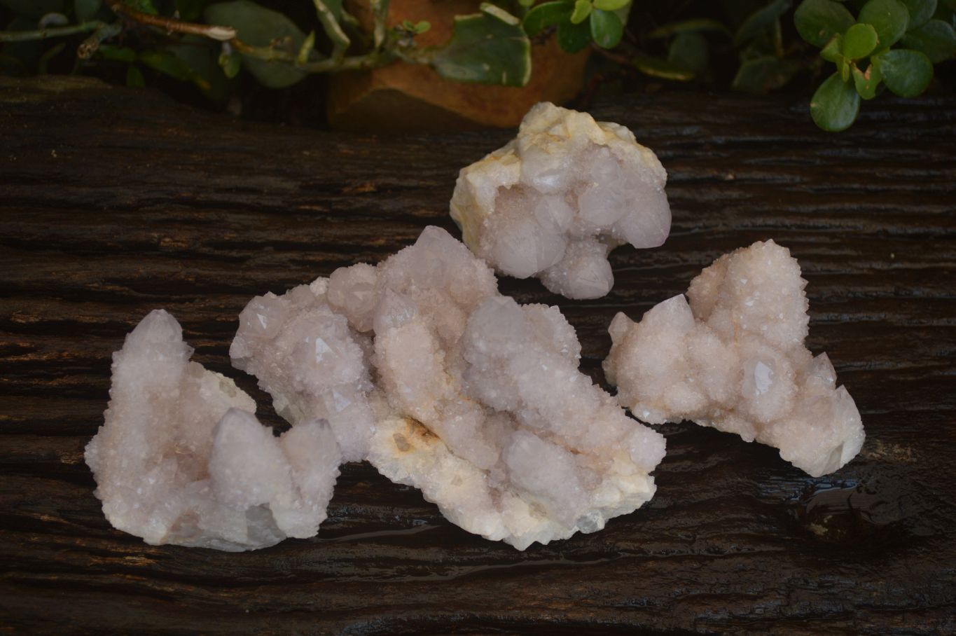 Natural Pale Lilac Spirit Quartz Clusters x 3 From Boekenhouthoek, South Africa - Toprock Gemstones and Minerals 