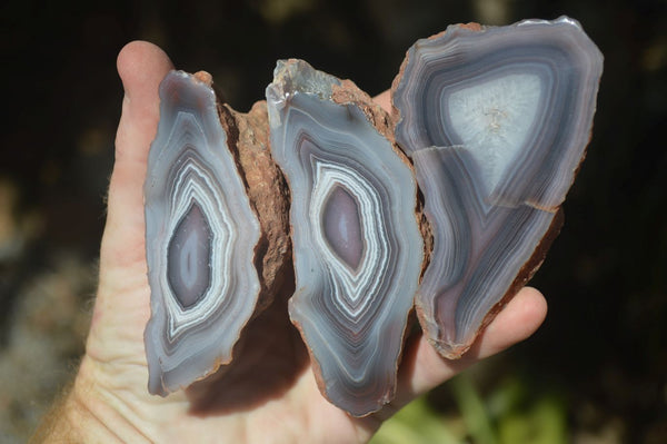 Polished Banded River Agate Nodules  x 6 From Sashe River, Zimbabwe - Toprock Gemstones and Minerals 